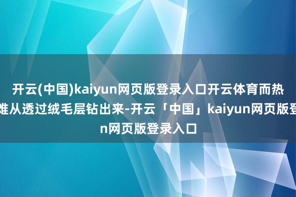 開云(中國)kaiyun網(wǎng)頁版登錄入口開云體育而熱氣也很難從透過絨毛層鉆出來-開云「中國」kaiyun網(wǎng)頁版登錄入口